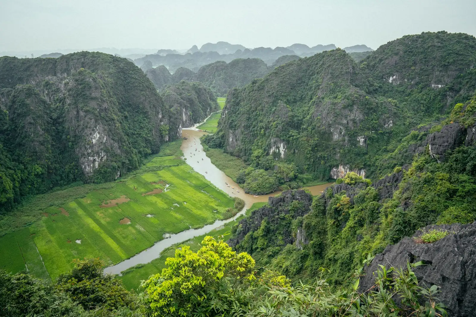 Elv som slynger seg gjennom grønn dal mellom karstfjell og risåkre ved Ninh Binh