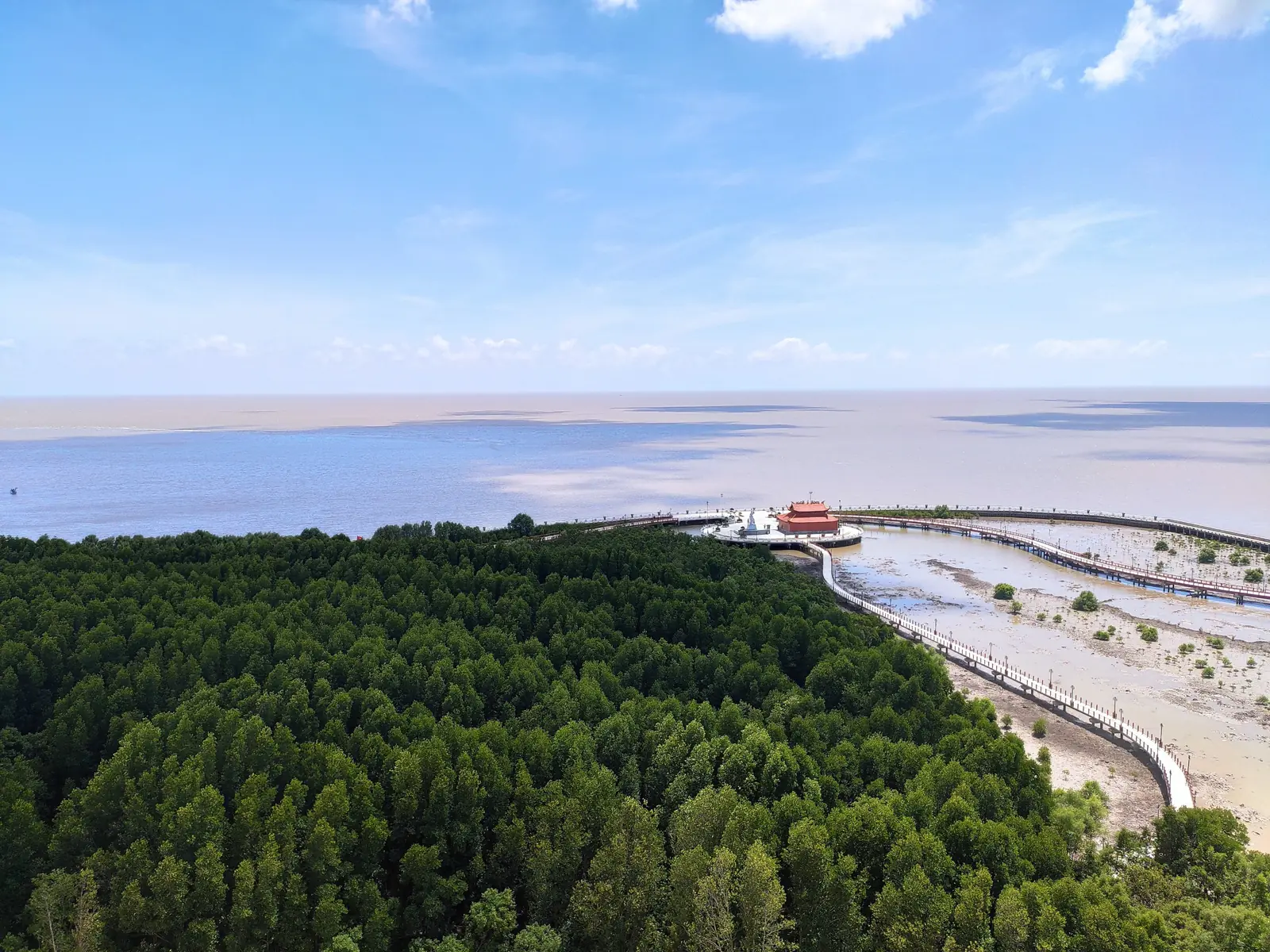 Mangroveskog og kystlinjen sett ovenfra ved Mui Ca Mau, Vietnams sørligste spiss