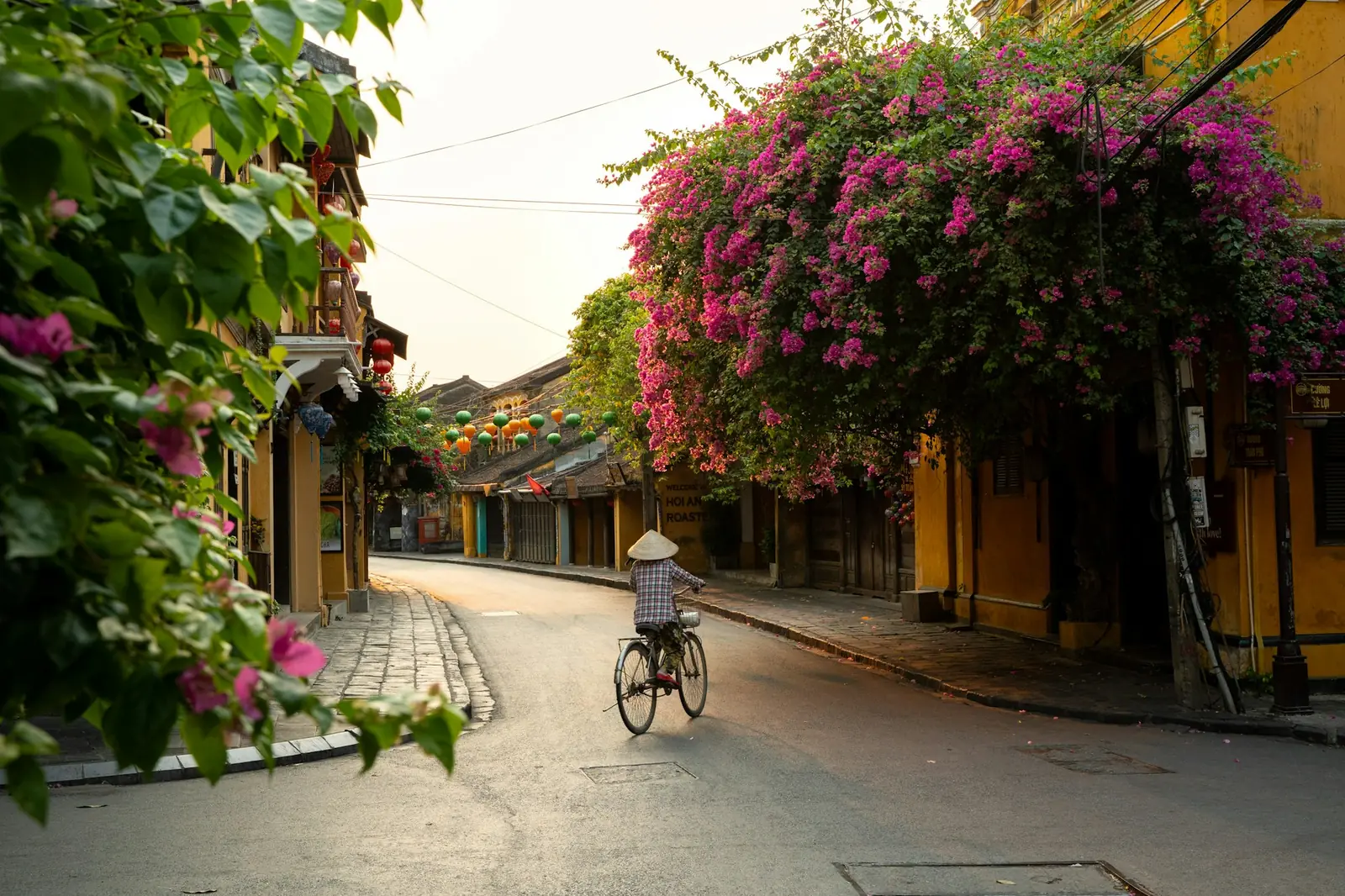 Rolig gate i gamlebyen i Hoi An tidlig om morgenen med blomstrende bougainvillea og gule hus