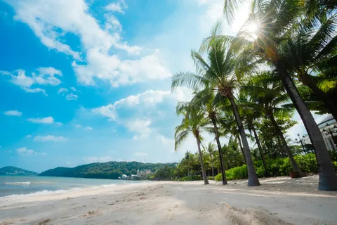 Hvit sandstrand med høye palmer og blå himmel på Phu Quoc