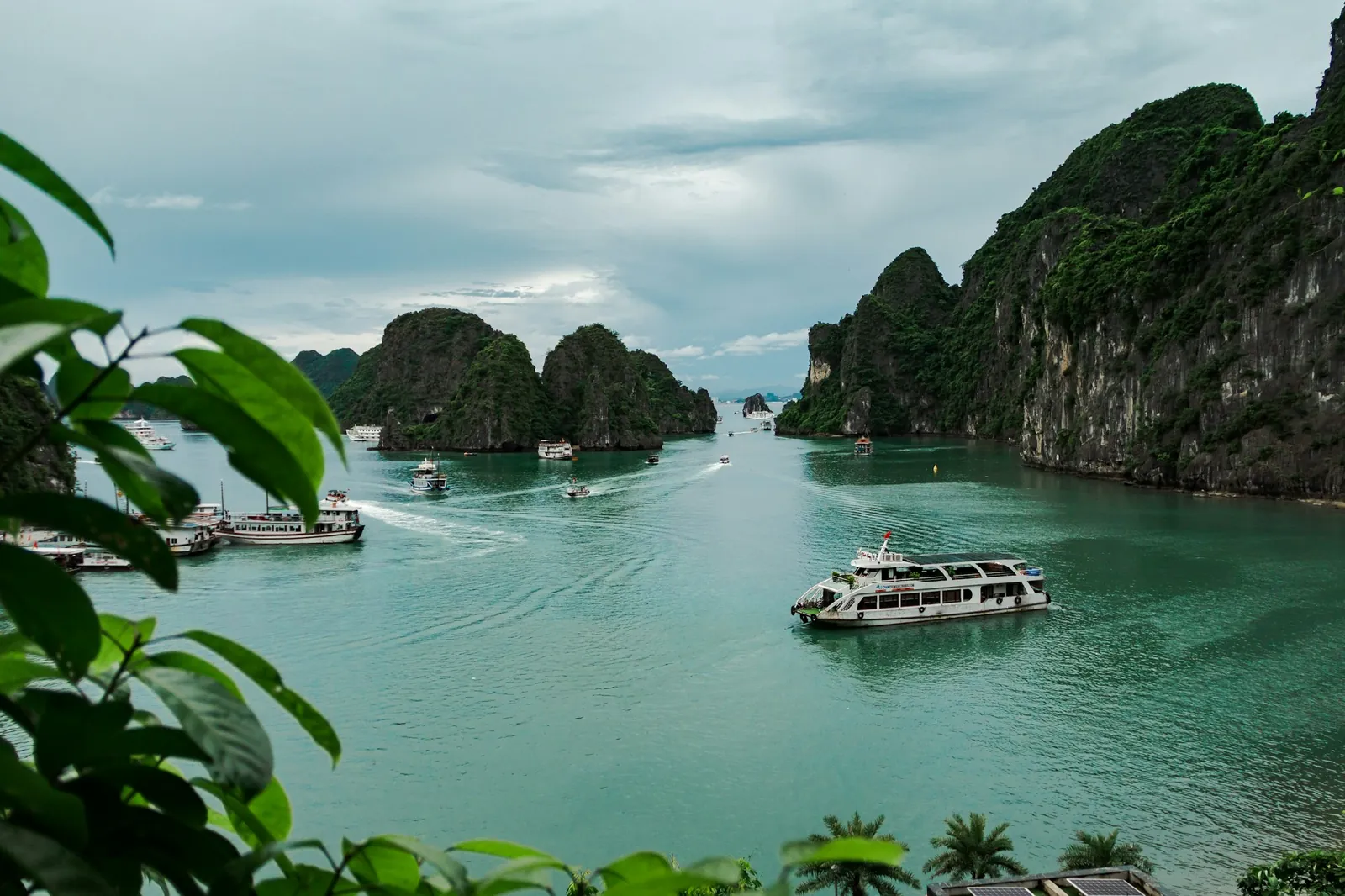Turistbåter mellom kalksteinsøyer i Ha Long-bukta sett gjennom grønne blader